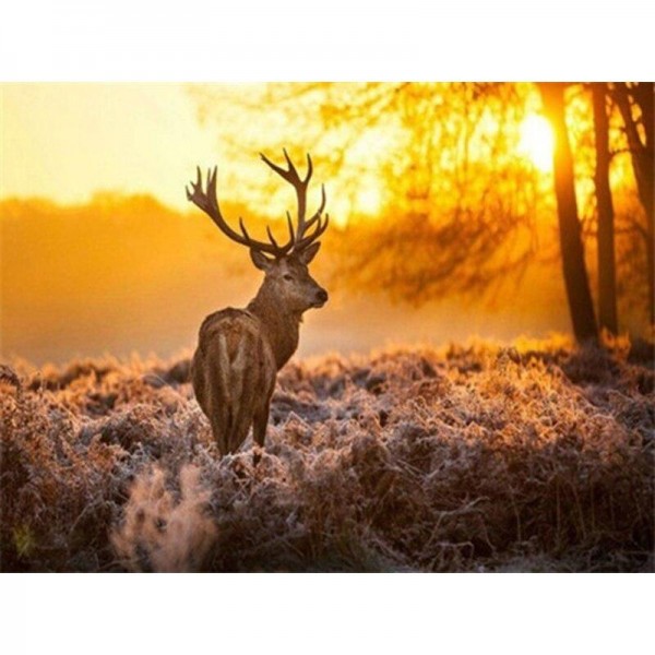 Hirsch - 16 Diamond Painting Diamant Malerei