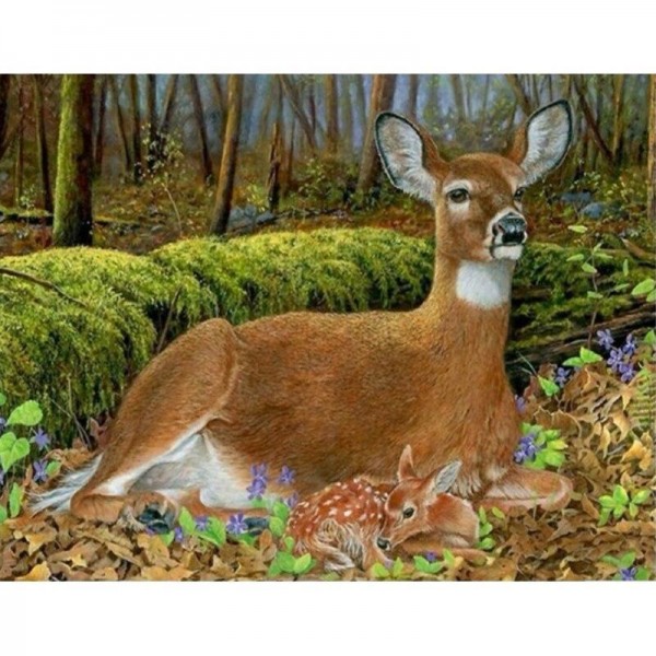 Hirsch - 14 Diamond Painting Diamant Malerei