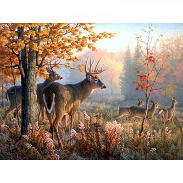 Hirsch - 2 Diamond Painting Diamant Malerei