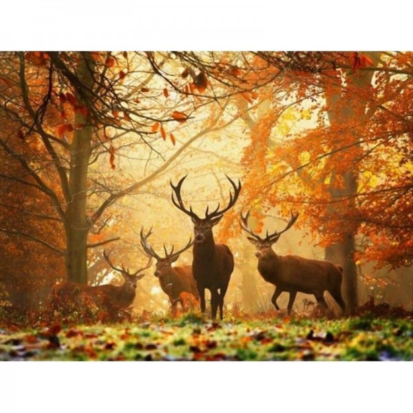 Hirsch - 8 Diamond Painting Diamant Malerei