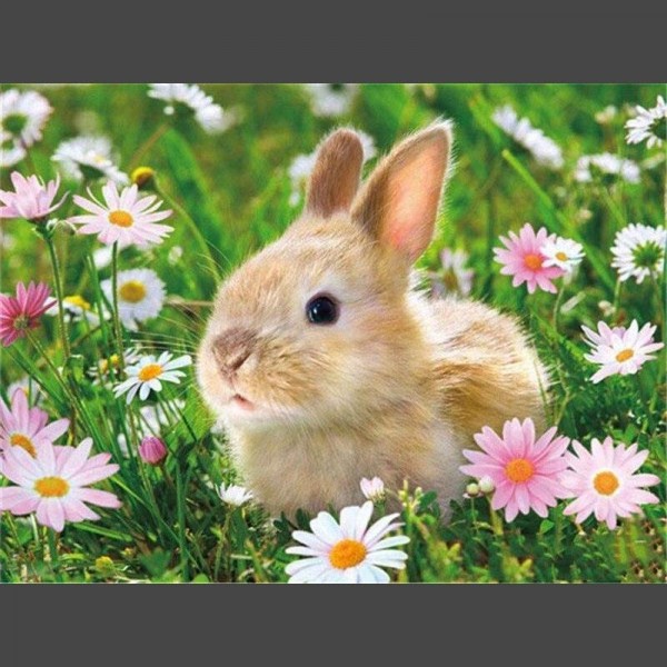 Hase / Sonnenblumen Diamond Painting Diamant Malerei