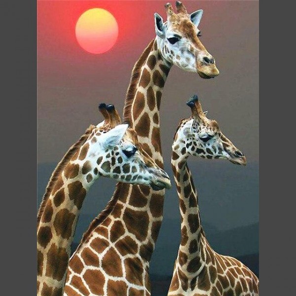 Giraffe - 14 Diamond Painting Diamant Malerei