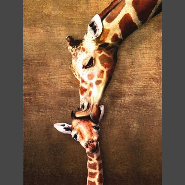 Giraffe - 11 Diamond Painting Diamant Malerei