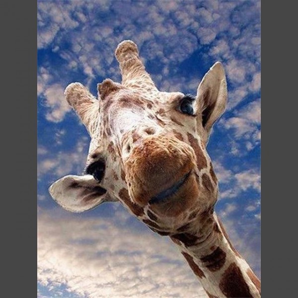 Giraffe - 7 Diamond Painting Diamant Malerei