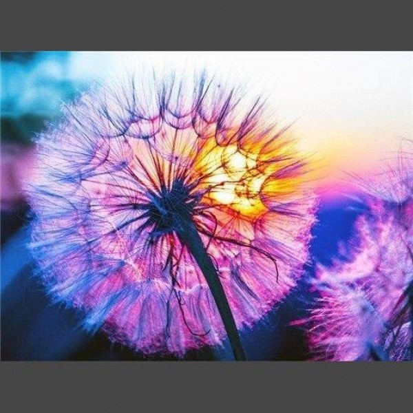 Löwenzahn 10 Diamond Painting Diamant Malerei