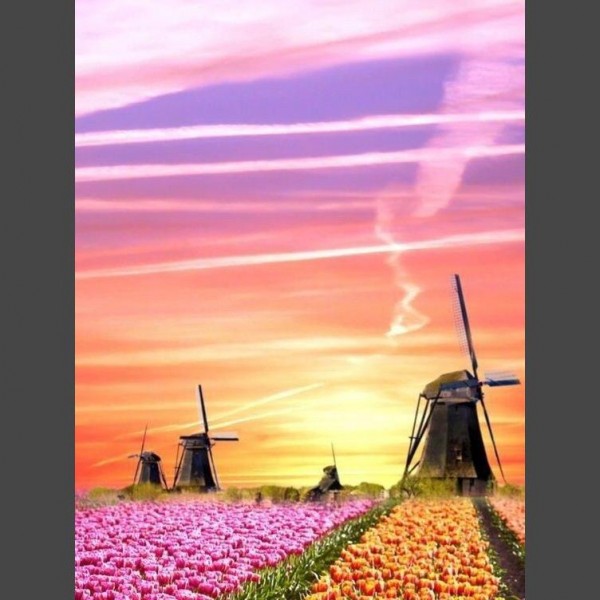 Windmühle 12 Diamond Painting Diamant Malerei