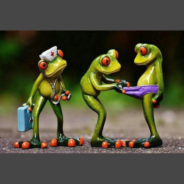 Frosch 3 Diamond Painting Diamant Malerei