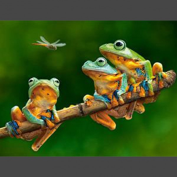 Frosch 5 Diamond Painting Diamant Malerei