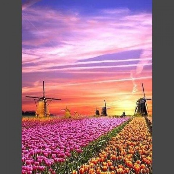 Windmühle 5 Diamond Painting Diamant Malerei