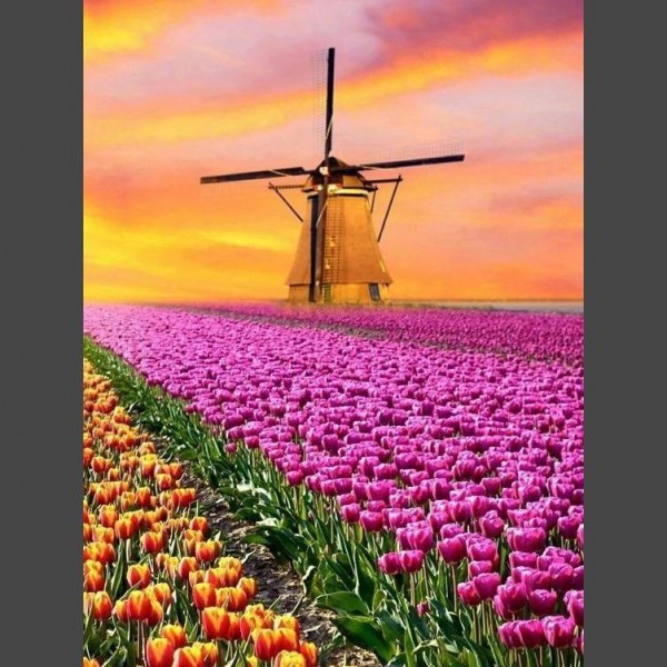 Windmühle 3 Diamond Painting Diamant Malerei