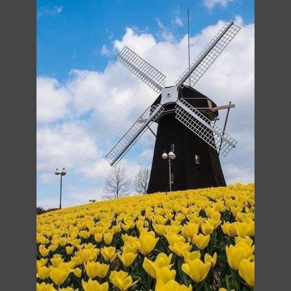 Windmühle 10 Diamond Painting Diamant Malerei