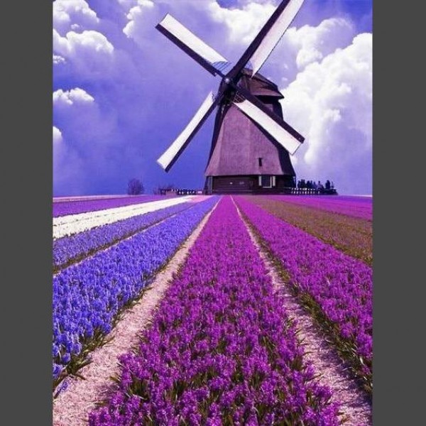 Windmühle 4 Diamond Painting Diamant Malerei