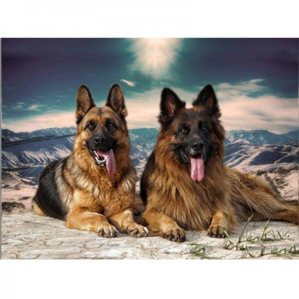 Schäferhund Diamond Painting Diamant Malerei