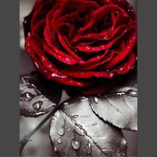 Schöne Rosen 4 Diamond Painting Diamant Malerei