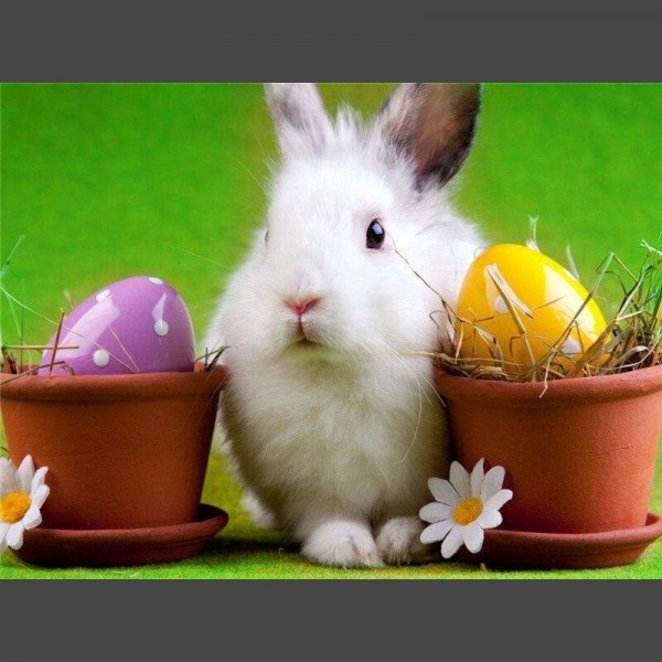 Osterhase Diamond Painting Diamant Malerei