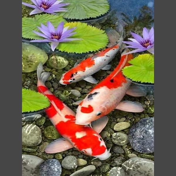 Fisch 5 Diamond Painting Diamant Malerei