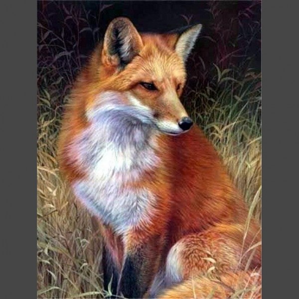 Fuchs am jagen Diamond Painting Diamant Malerei