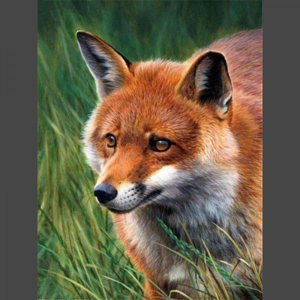 Fuchs am jagen Diamond Painting Diamant Malerei