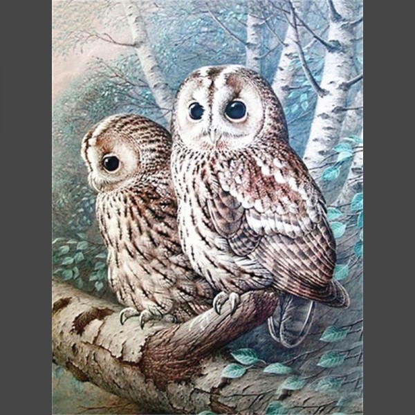Eule 9 Diamond Painting Diamant Malerei