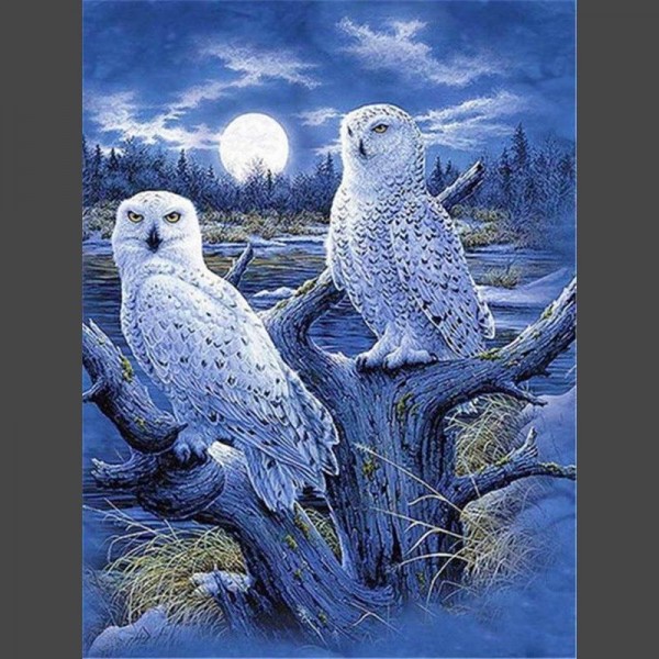 Eule 8 Diamond Painting Diamant Malerei