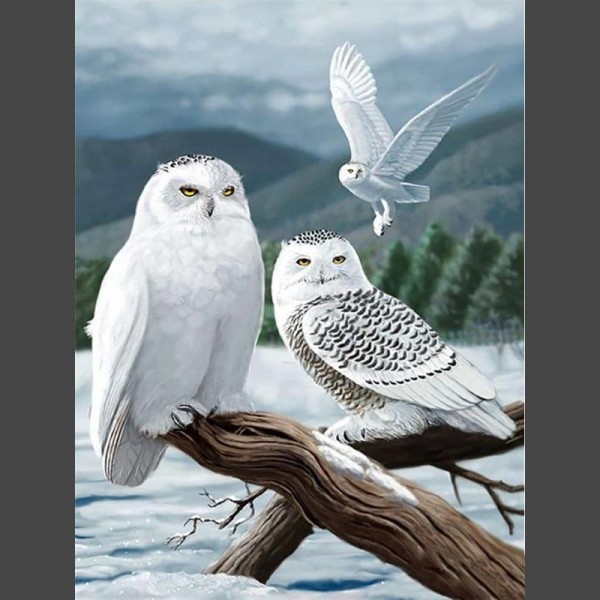 Eule 10 Diamond Painting Diamant Malerei