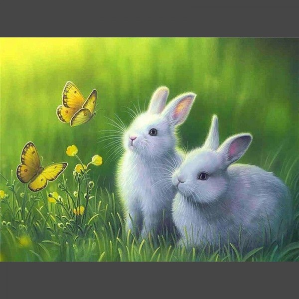 2 weisse Hasen Diamond Painting Diamant Malerei