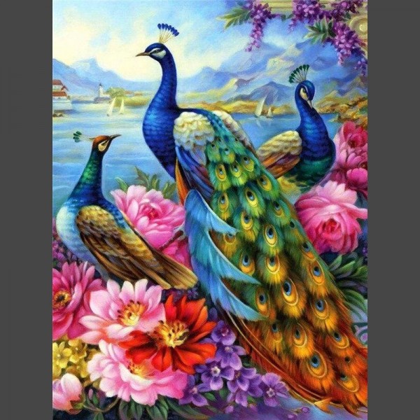 3 Pfaue Diamond Painting Diamant Malerei