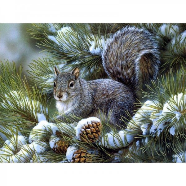 Eichhörnchen 2 Diamond Painting Diamant Malerei