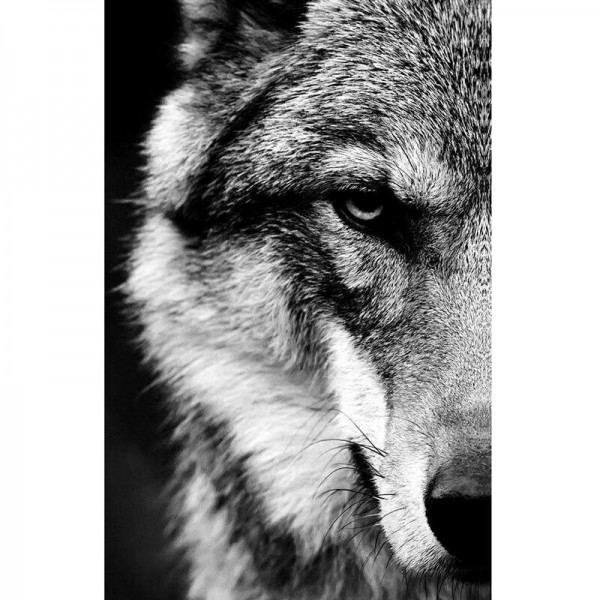 Schwarz weiss Wolf Diamond Painting Diamant Malerei