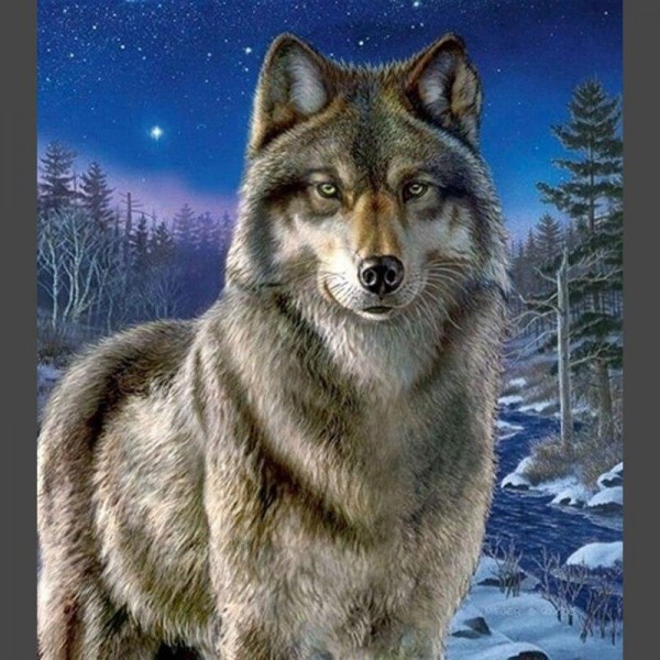 Wolf im Schnee Diamond Painting Diamant Malerei