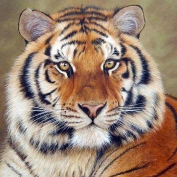 Tiger Diamond Painting Diamant Malerei 4SA13
