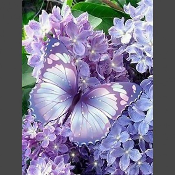Schmetterling 17 Diamond Painting Diamant Malerei
