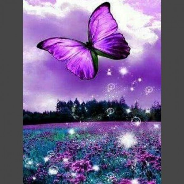Schmetterling 14 Diamond Painting Diamant Malerei