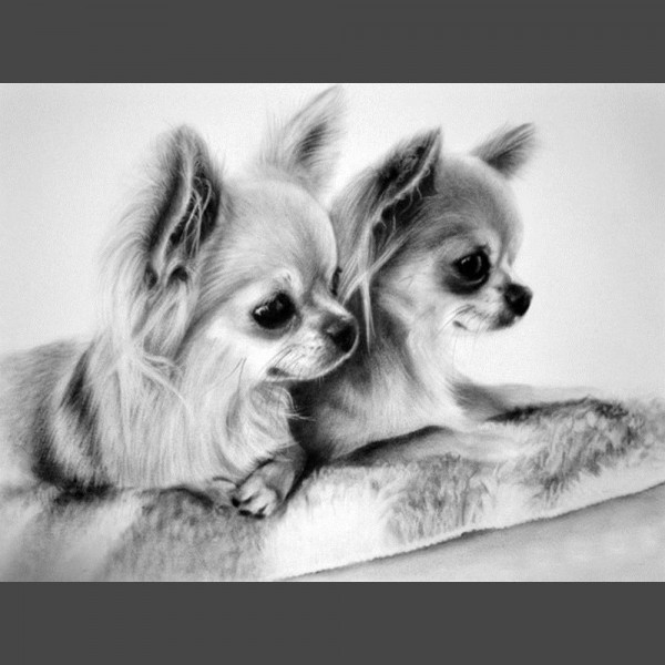 Hund - 16 Diamond Painting Diamant Malerei