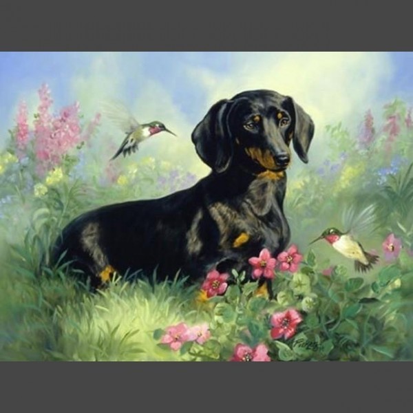 Hund - 14 Diamond Painting Diamant Malerei