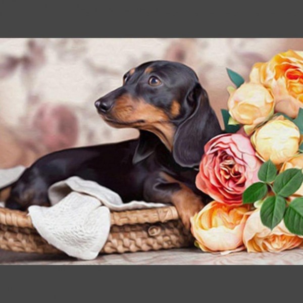 Hund - 3 Diamond Painting Diamant Malerei
