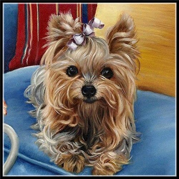 Hund Diamond Painting Diamant Malerei 4SA111