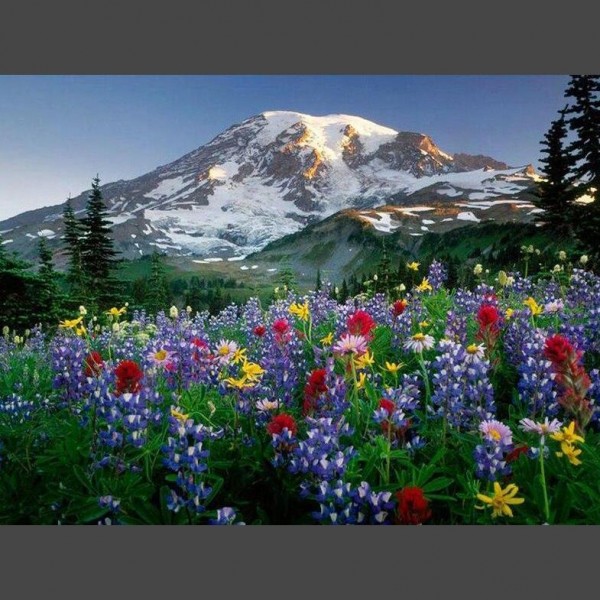 Landschaft 18 Diamond Painting Diamant Malerei
