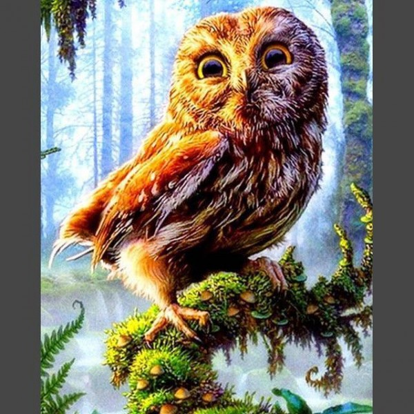 Fantasie Eule 7 Diamond Painting Diamant Malerei