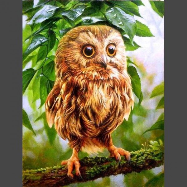Fantasie Eule 4 Diamond Painting Diamant Malerei