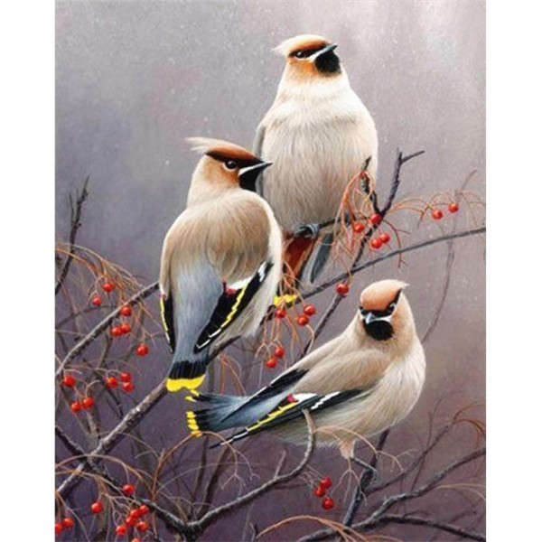 Vogel 10 Diamond Painting Diamant Malerei