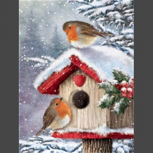 Vogel Schnee 4 Diamond Painting Diamant Malerei