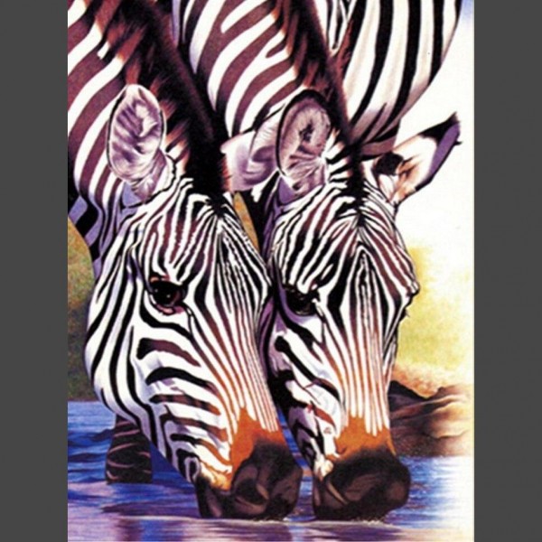 Zebra am trinken Diamond Painting Diamant Malerei