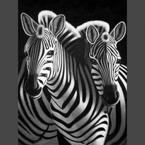 Zebra 12 Diamond Painting Diamant Malerei