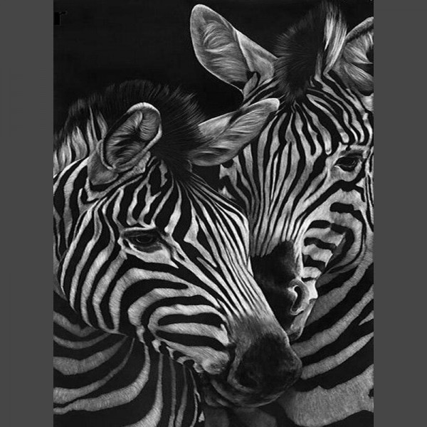 Zebra 1 Diamond Painting Diamant Malerei