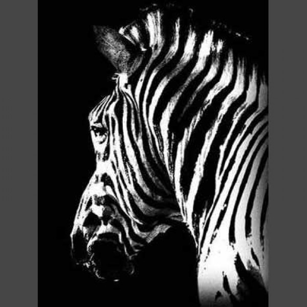Zebra 5 Diamond Painting Diamant Malerei