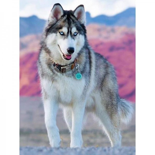 Süsser Wolf Diamond Painting Diamant Malerei