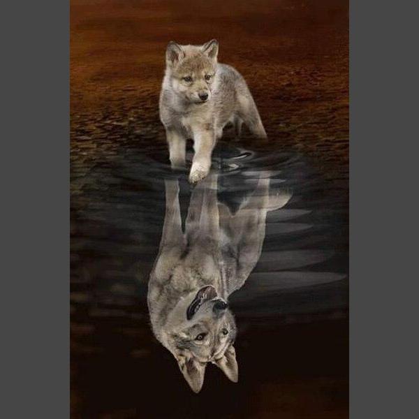 Wolf Diamond Painting Diamant Malerei 4SA11