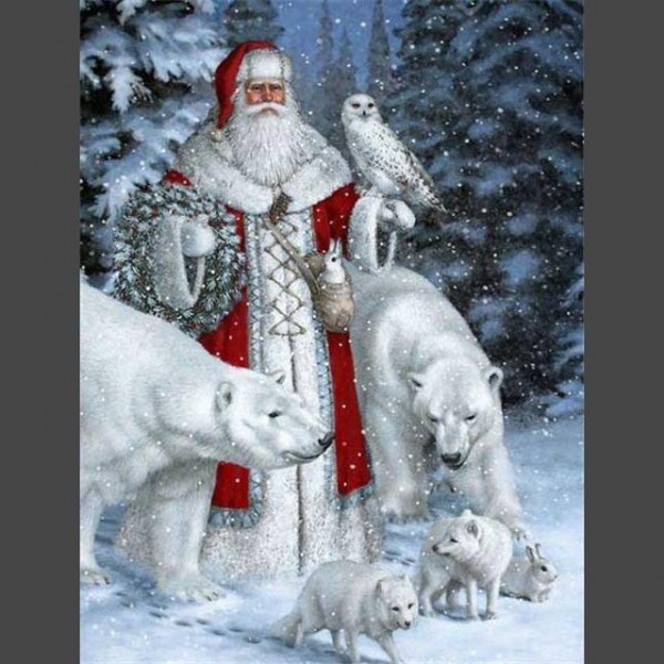 Weihnachtsmann 12 Diamond Painting Diamant Malerei