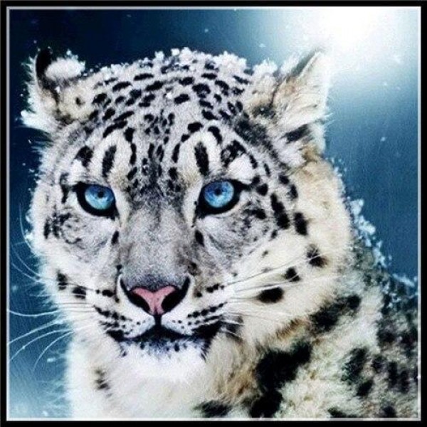 Schneekatze Diamond Painting Diamant Malerei 4SA12